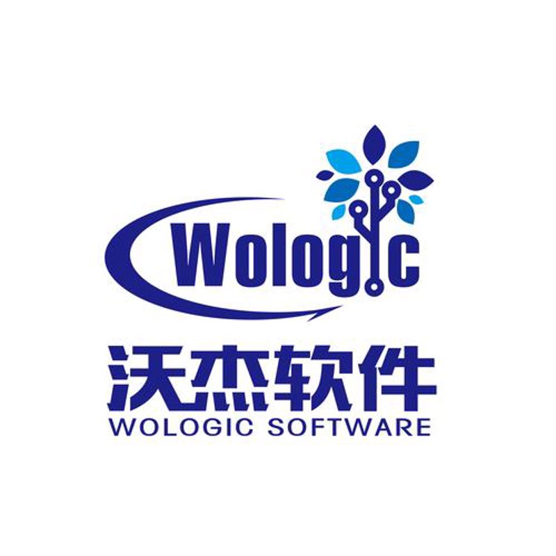 上海软件开发行业：从幕后走到台前