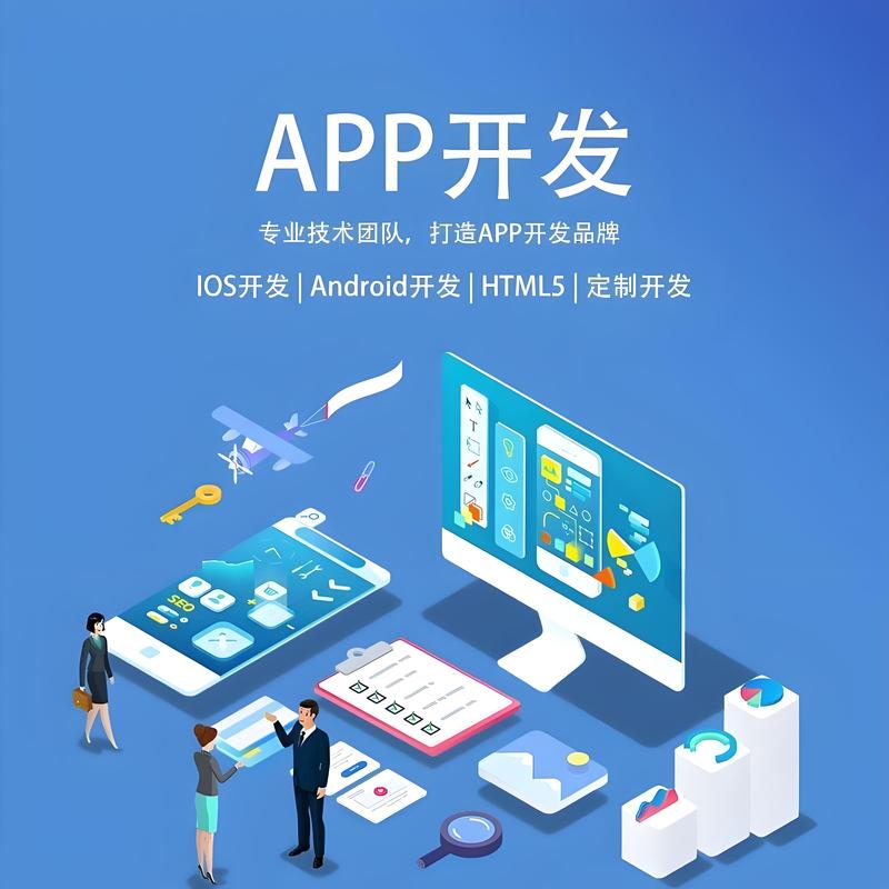 上海软件开发：助力企业数字化转型